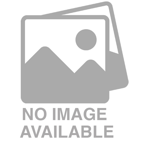 Supporting Multilingual Learners With Translanguaging Strategies